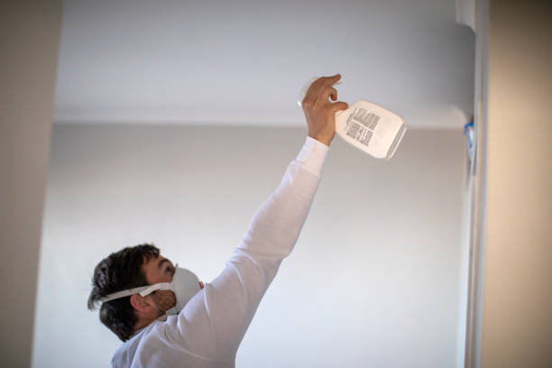 Home Mold Removal in Mount Wolf, PA