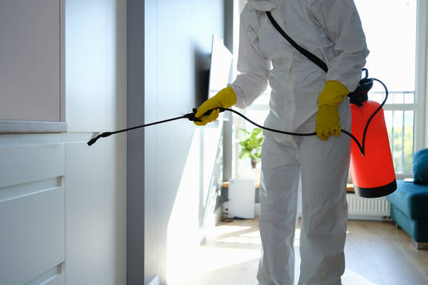 Best Mold Remediation  in Mount Wolf, PA