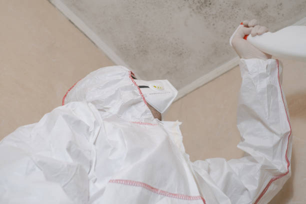 Best Toxic Mold Removal  in Mount Wolf, PA