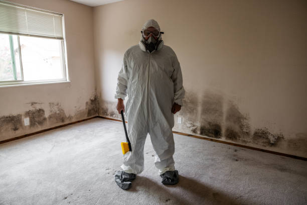 Best Fast Mold Removal  in Mount Wolf, PA